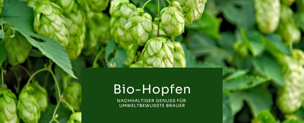 Bio-Hopfen