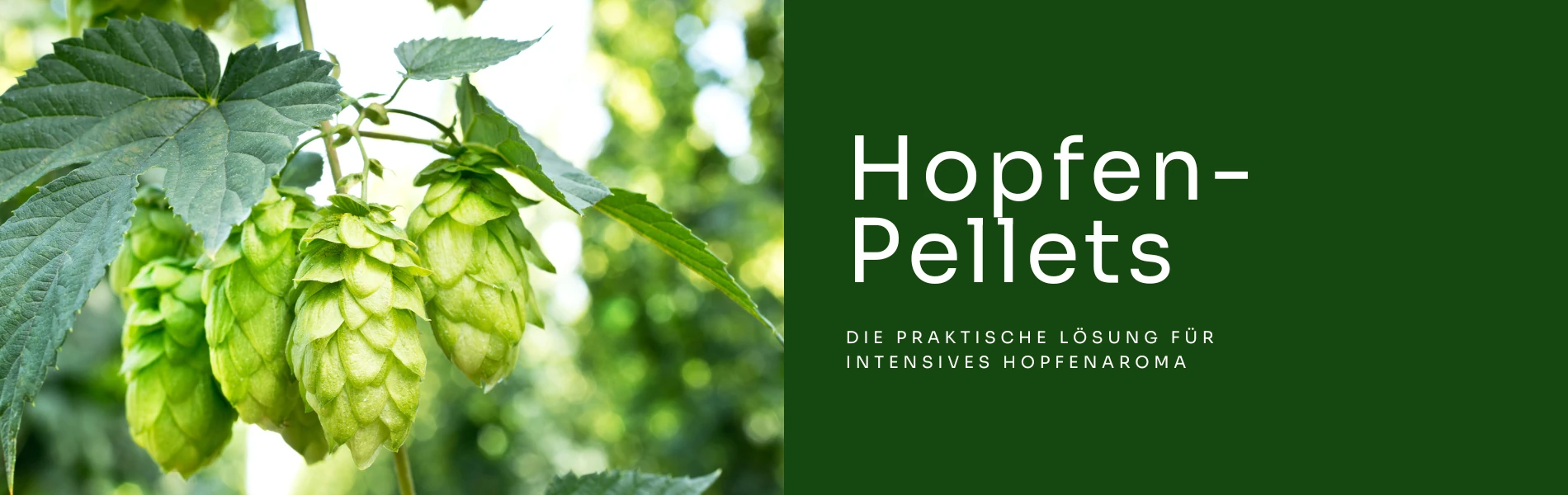 Hopfen-Pellets