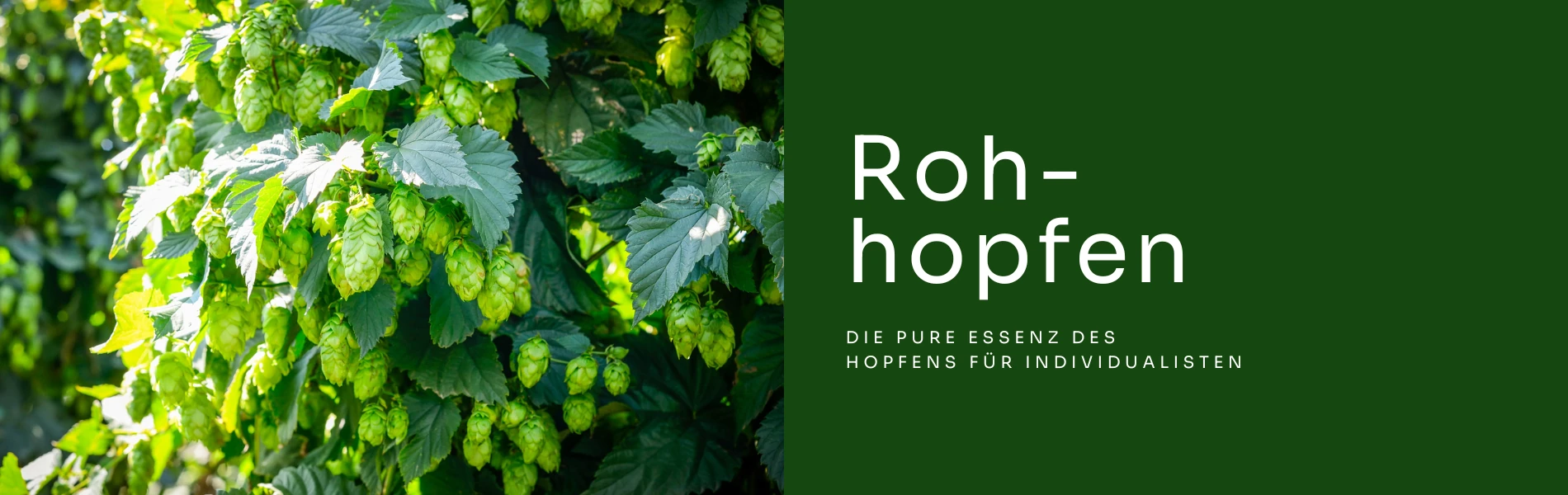 Roh-Hopfen