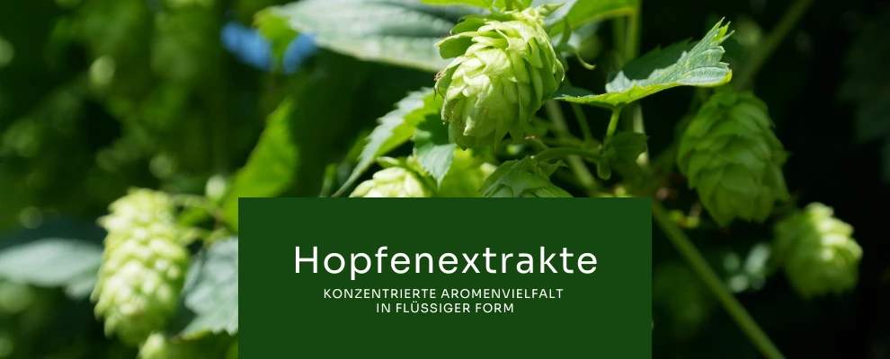 Hopfen-Extrakte