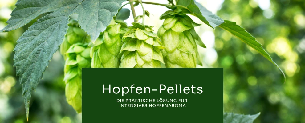 Hopfen-Pellets