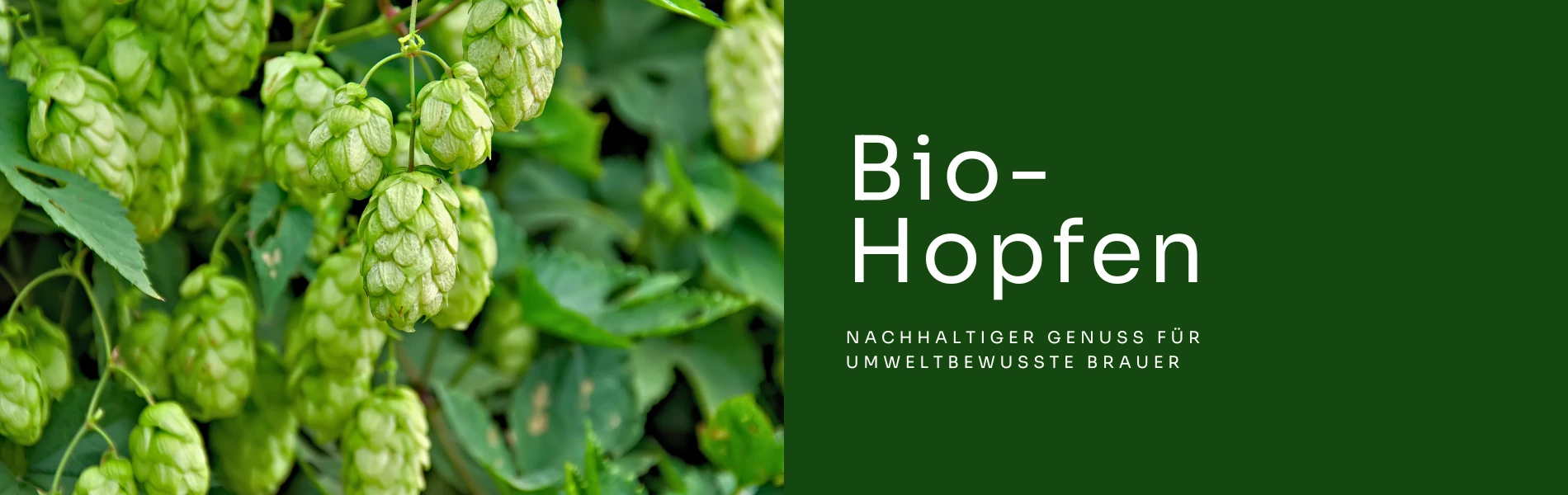 Bio-Hopfedolde